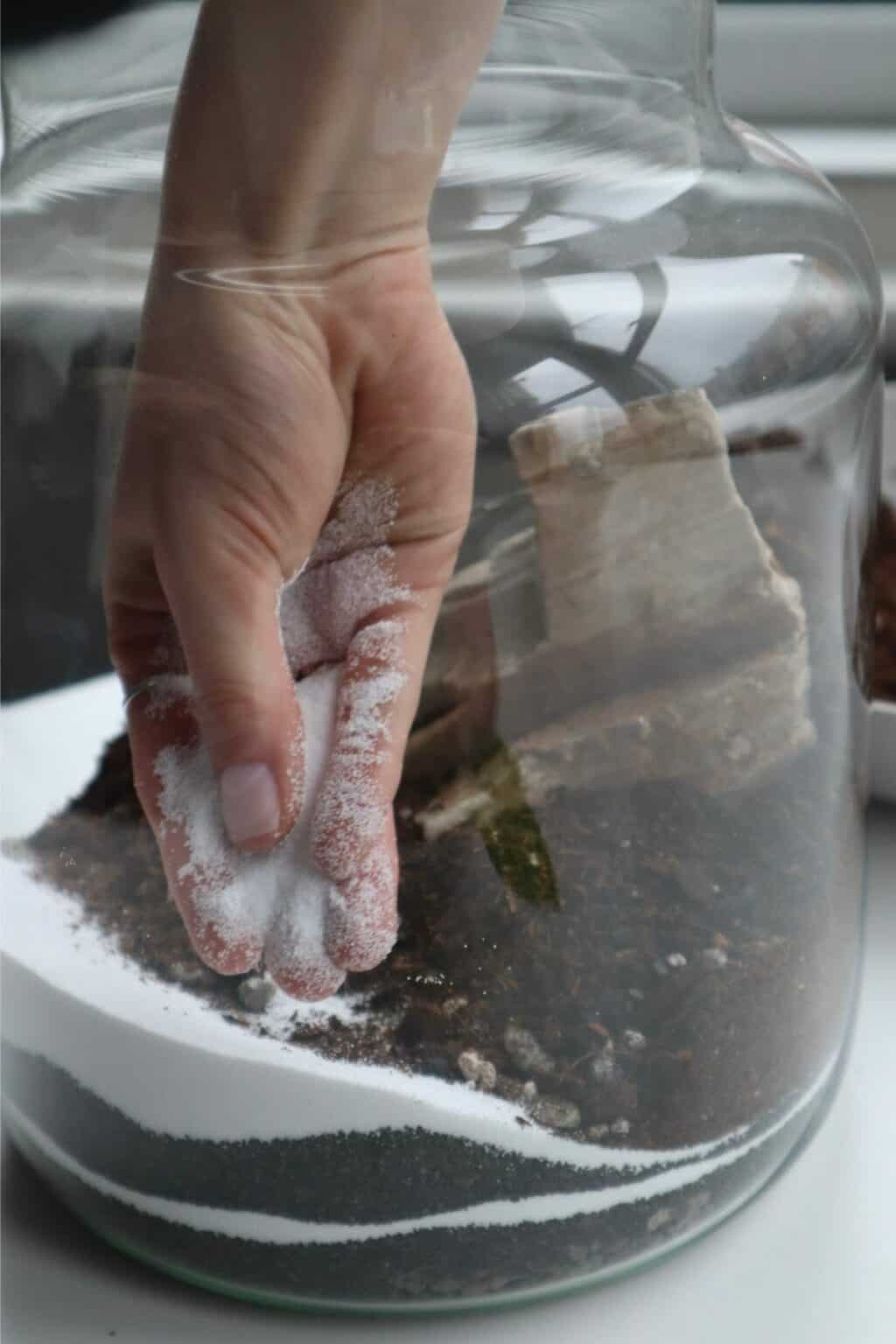 Terrarium Layers A StepByStep Guide to Building Success