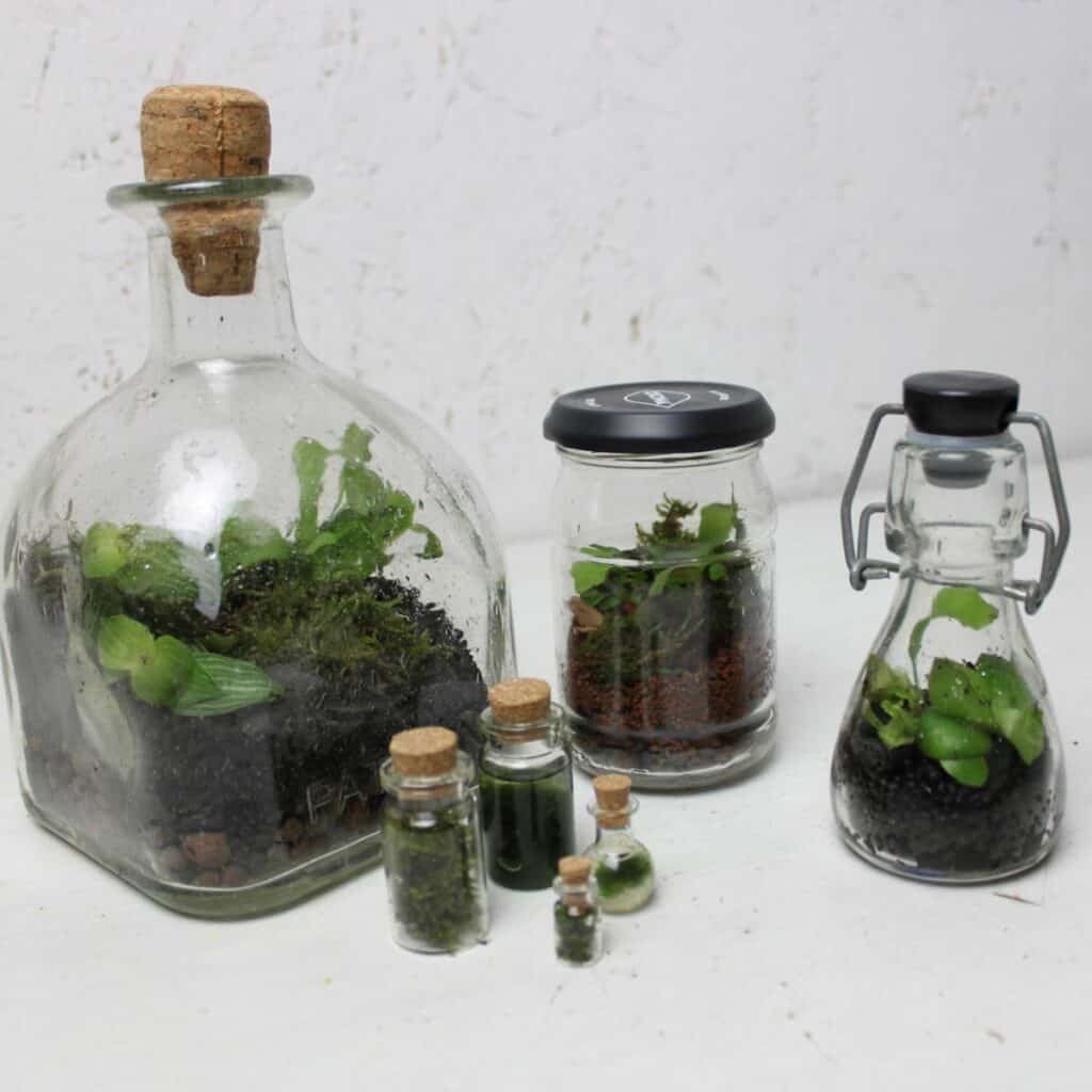 12+ Creative DIY Terrarium Ideas to Try Get Your Craft On!