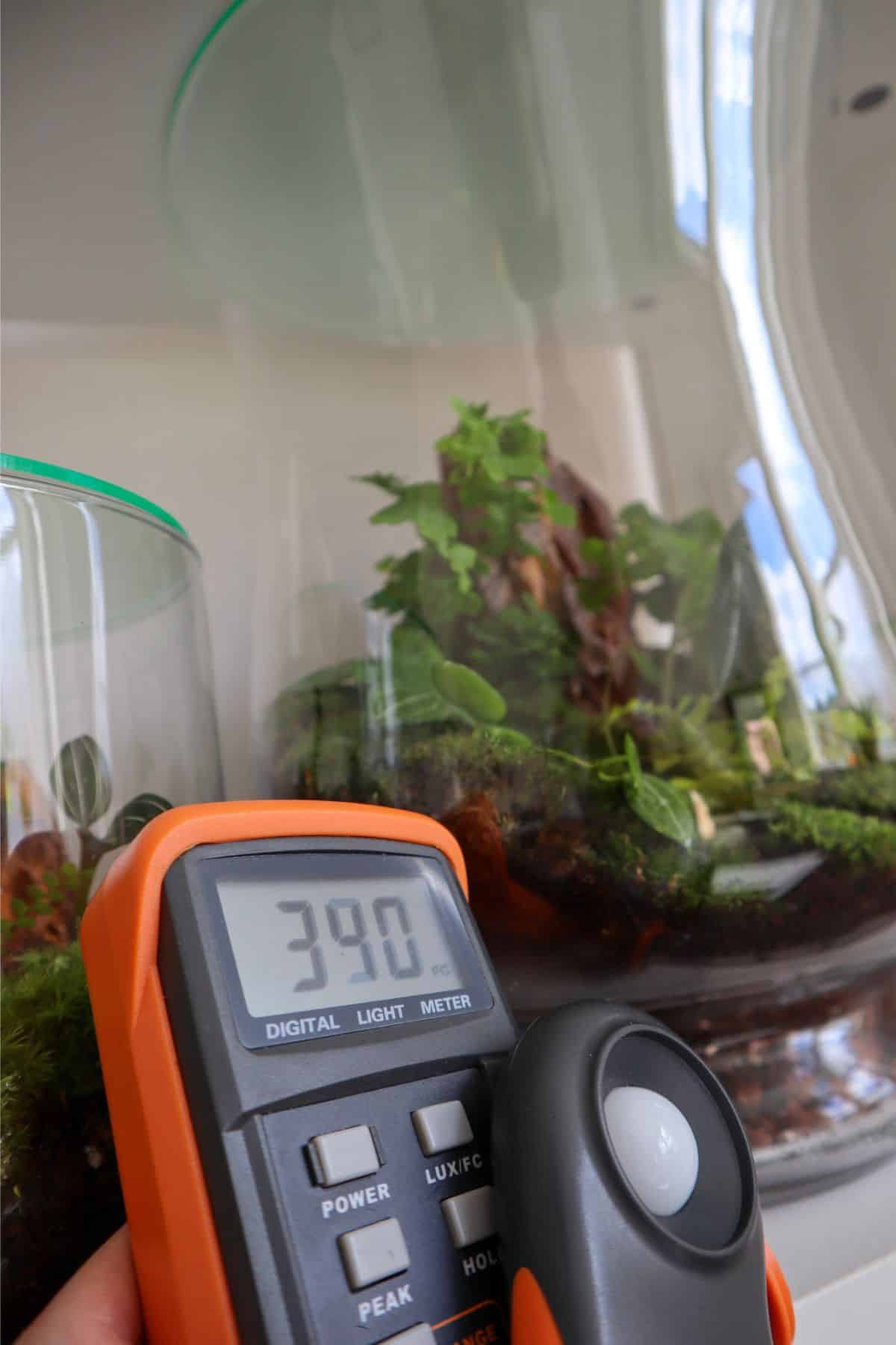 terrariums with lightmeter