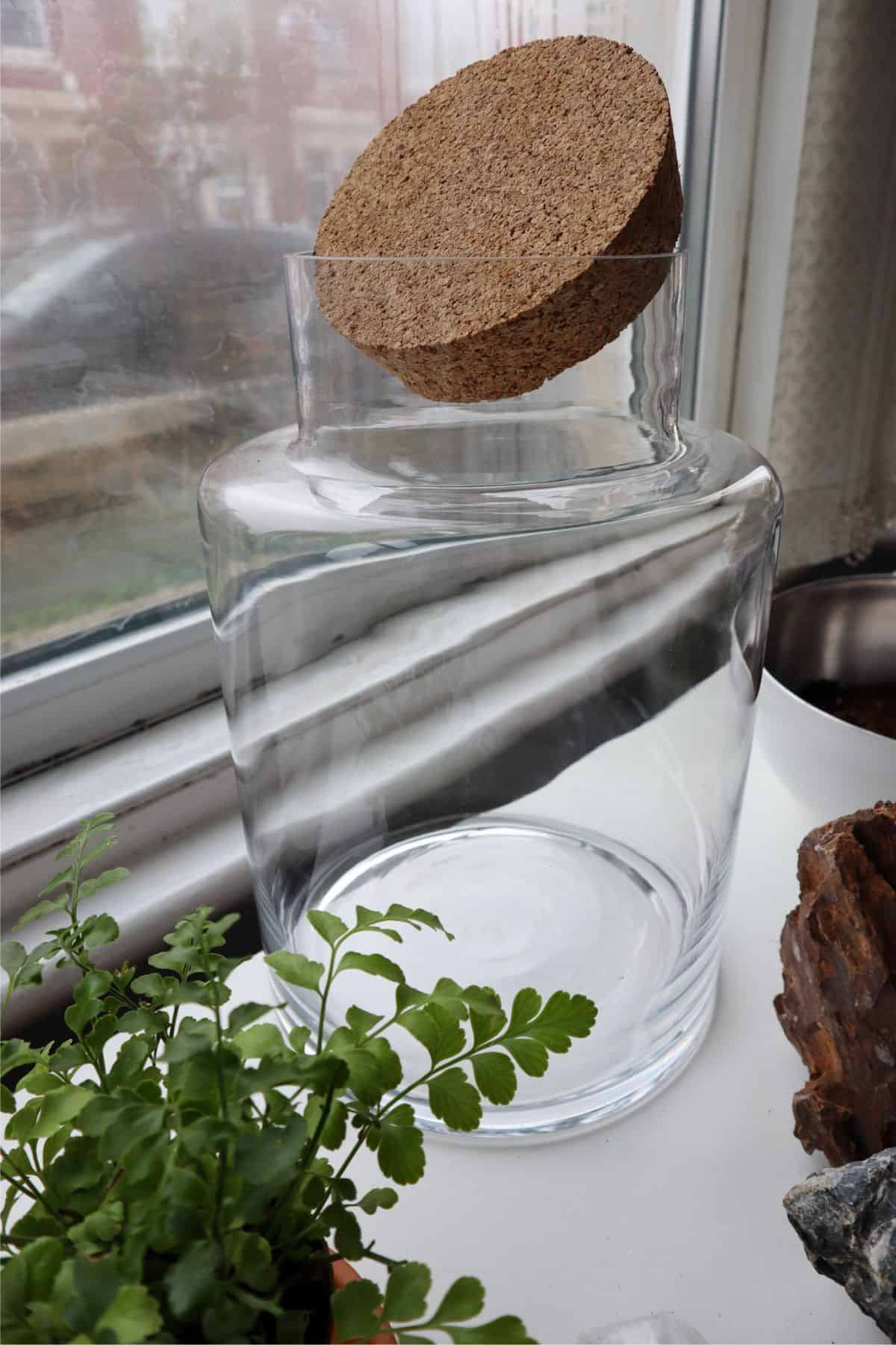 glass container with cork lid