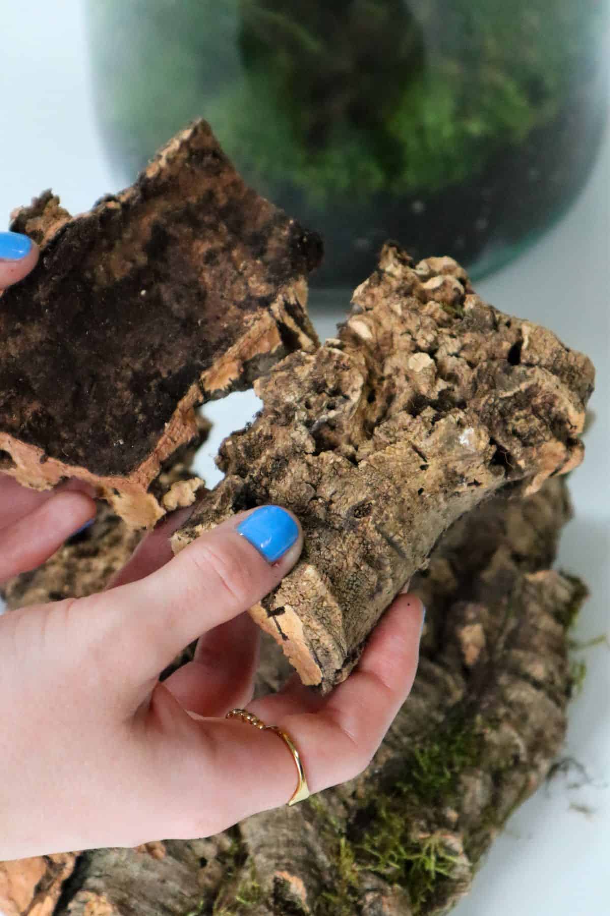 Terrarium cork bark