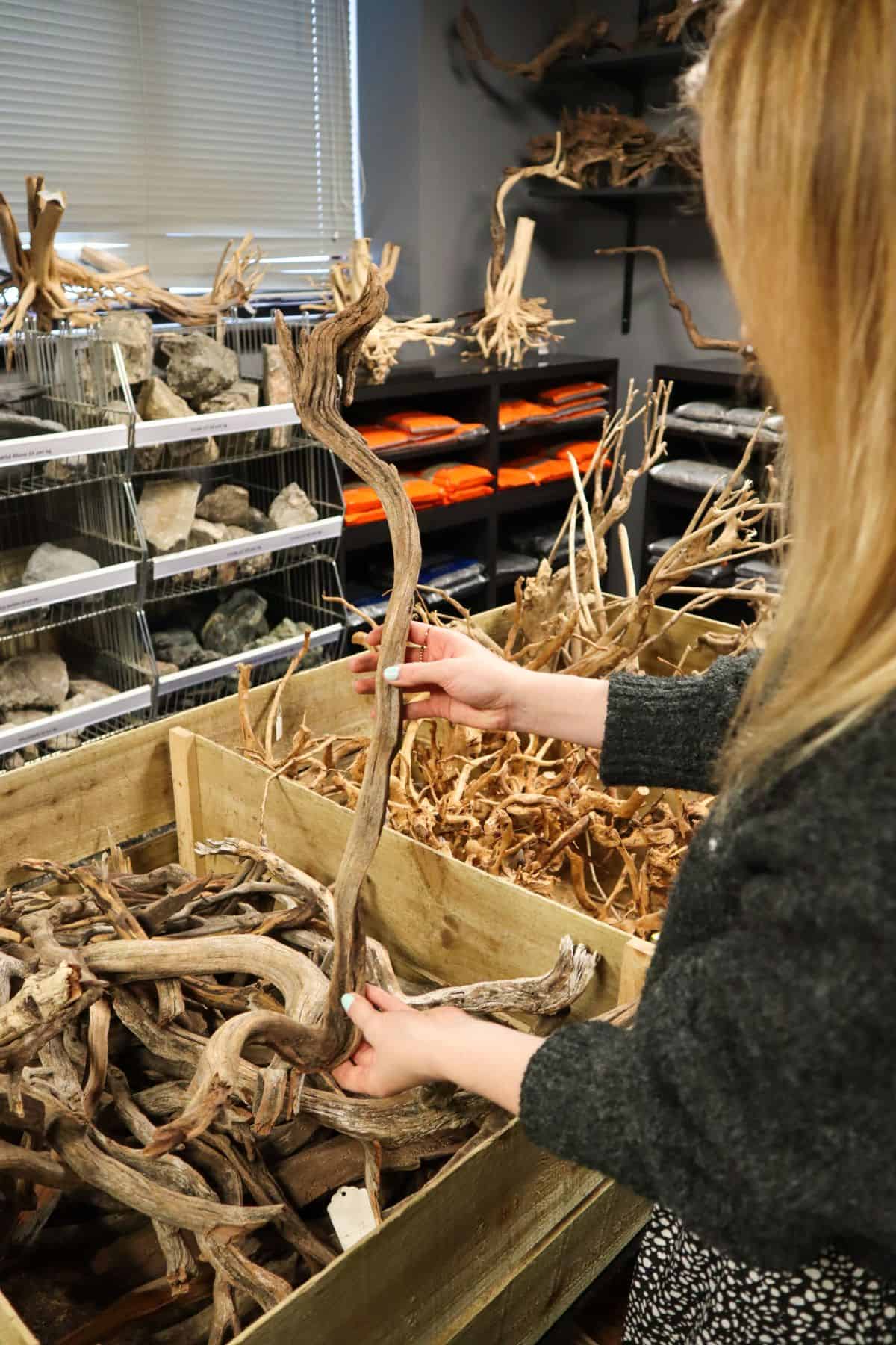 Manzanita Driftwood Aquarium Driftwood — Buce Plant