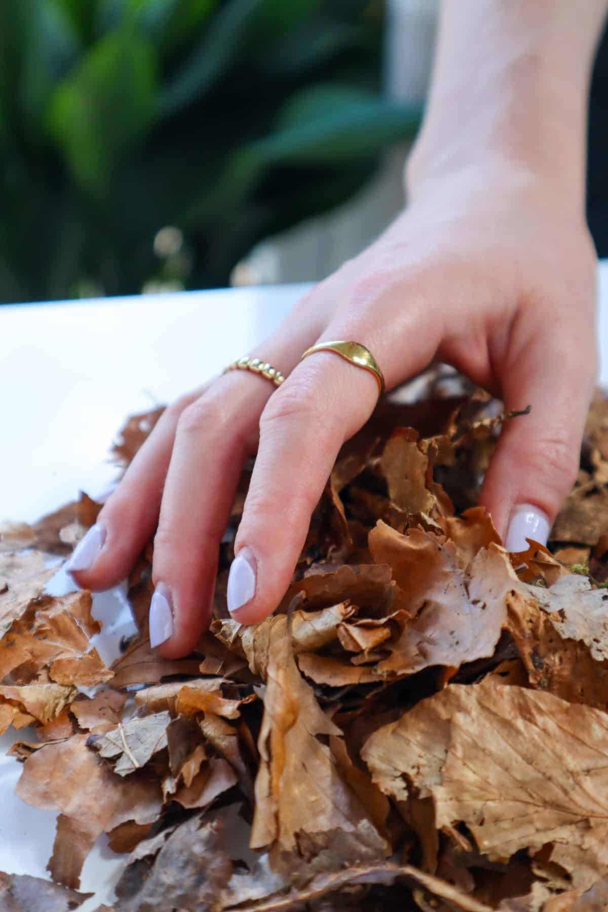 leaf litter in hand