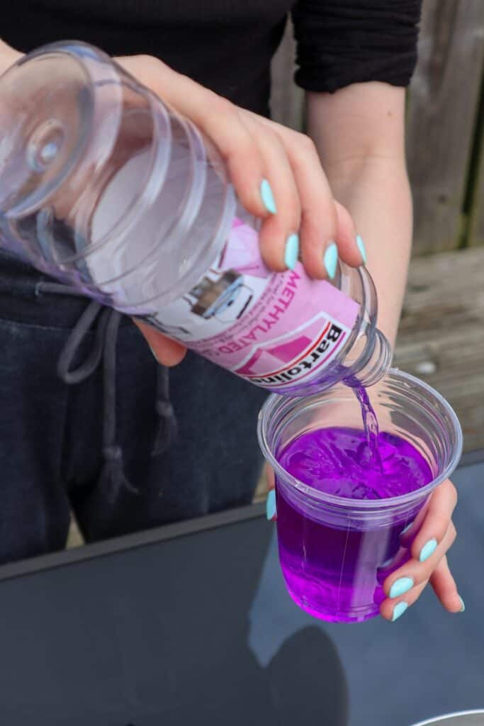 How to Preserve Moss for Decoration & Wall Art [Easy Guide] Terrarium