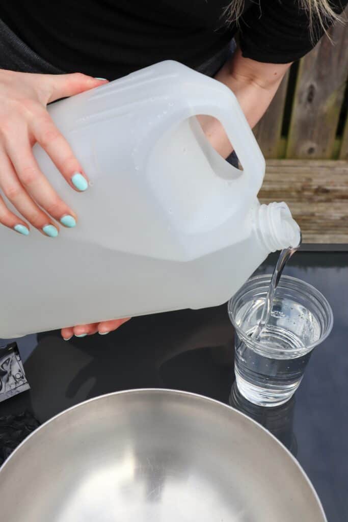 How to Preserve Moss for Decoration & Wall Art [Easy Guide] Terrarium