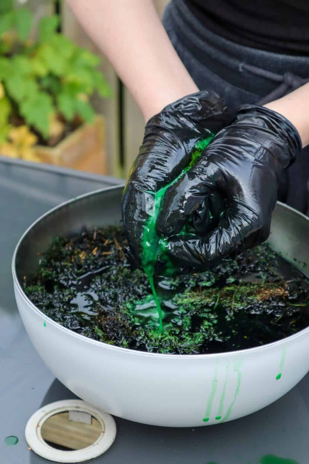 How to Preserve Moss for Decoration & Wall Art [Easy Guide] Terrarium