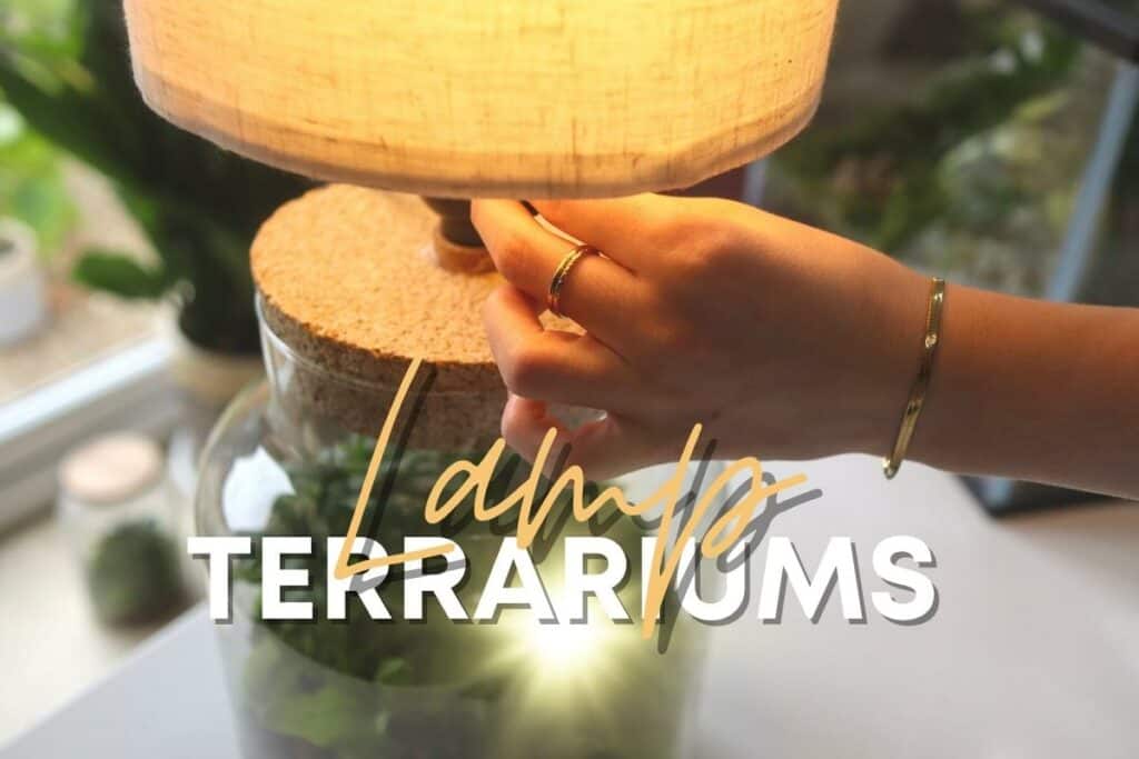 How to Make a Radiant Terrarium Lamp [DIY Guide]