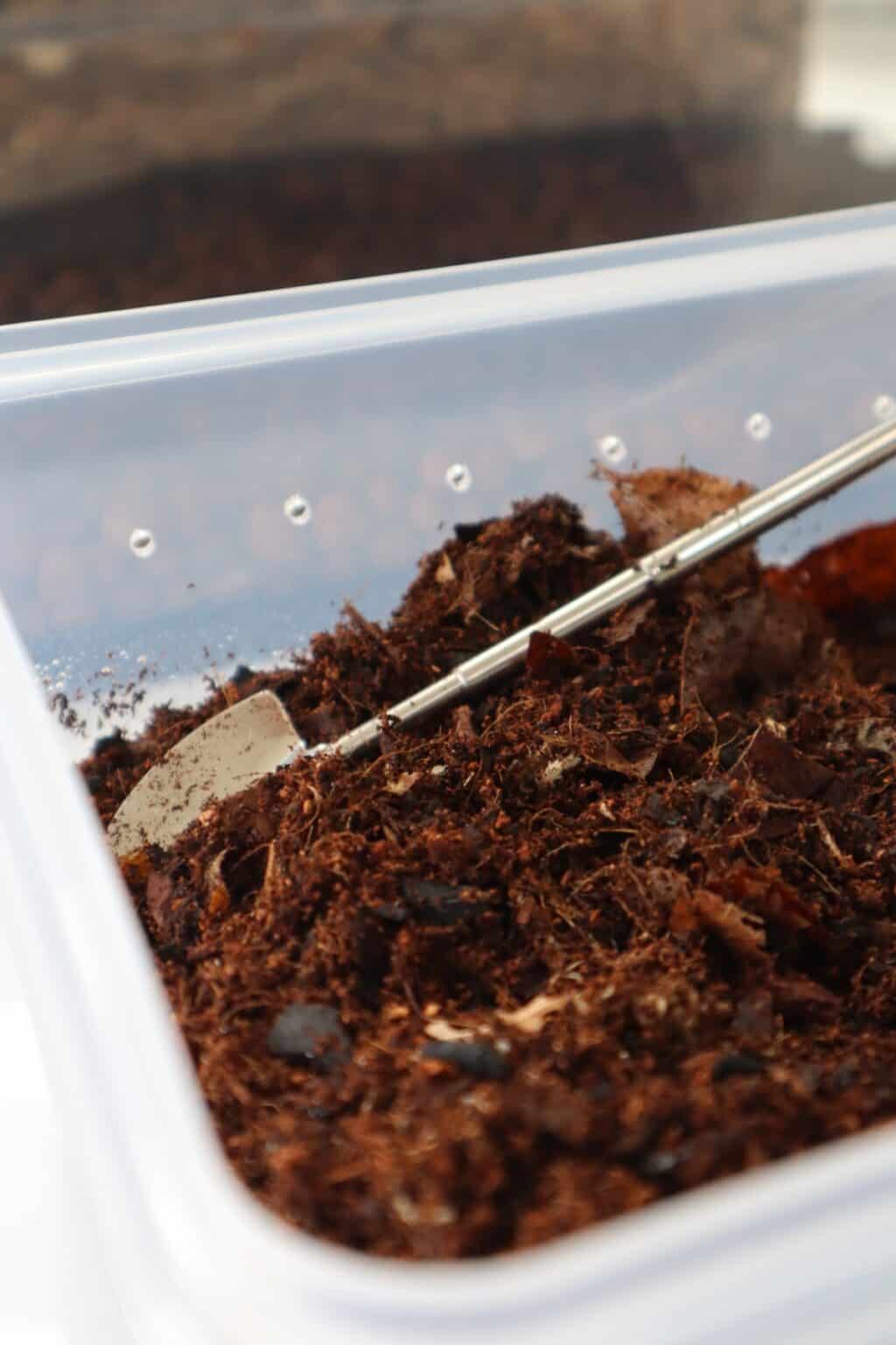 How to Make a Bioactive Substrate Mix (Recipe + Guide)