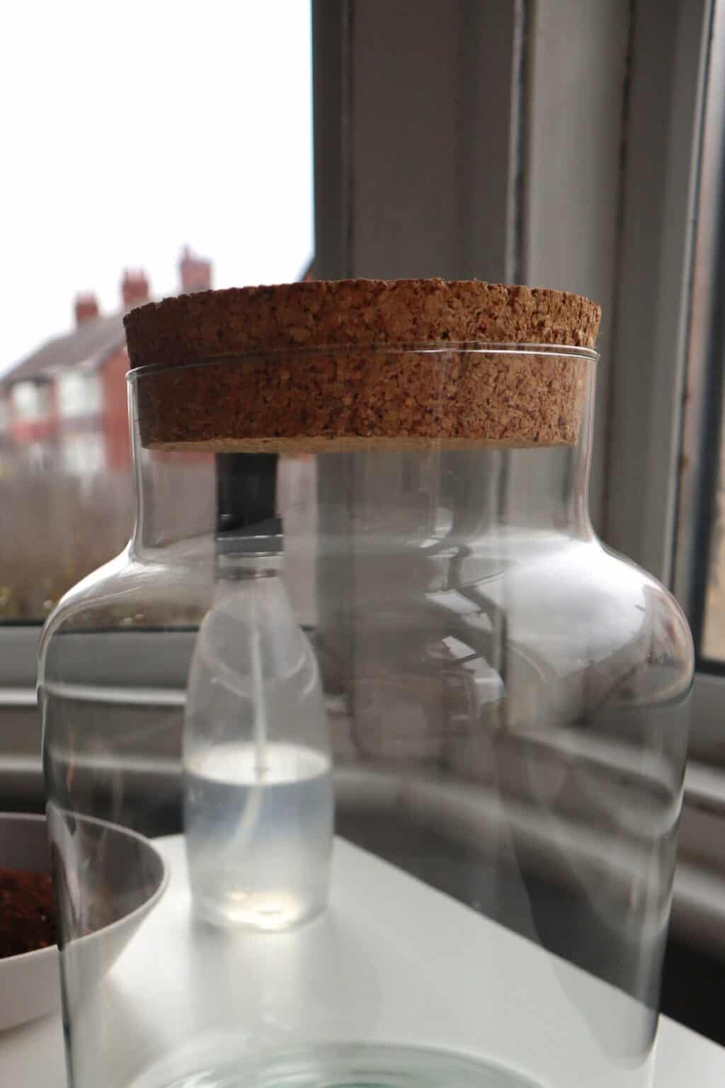 How to Make a Radiant Terrarium Lamp [DIY Guide]