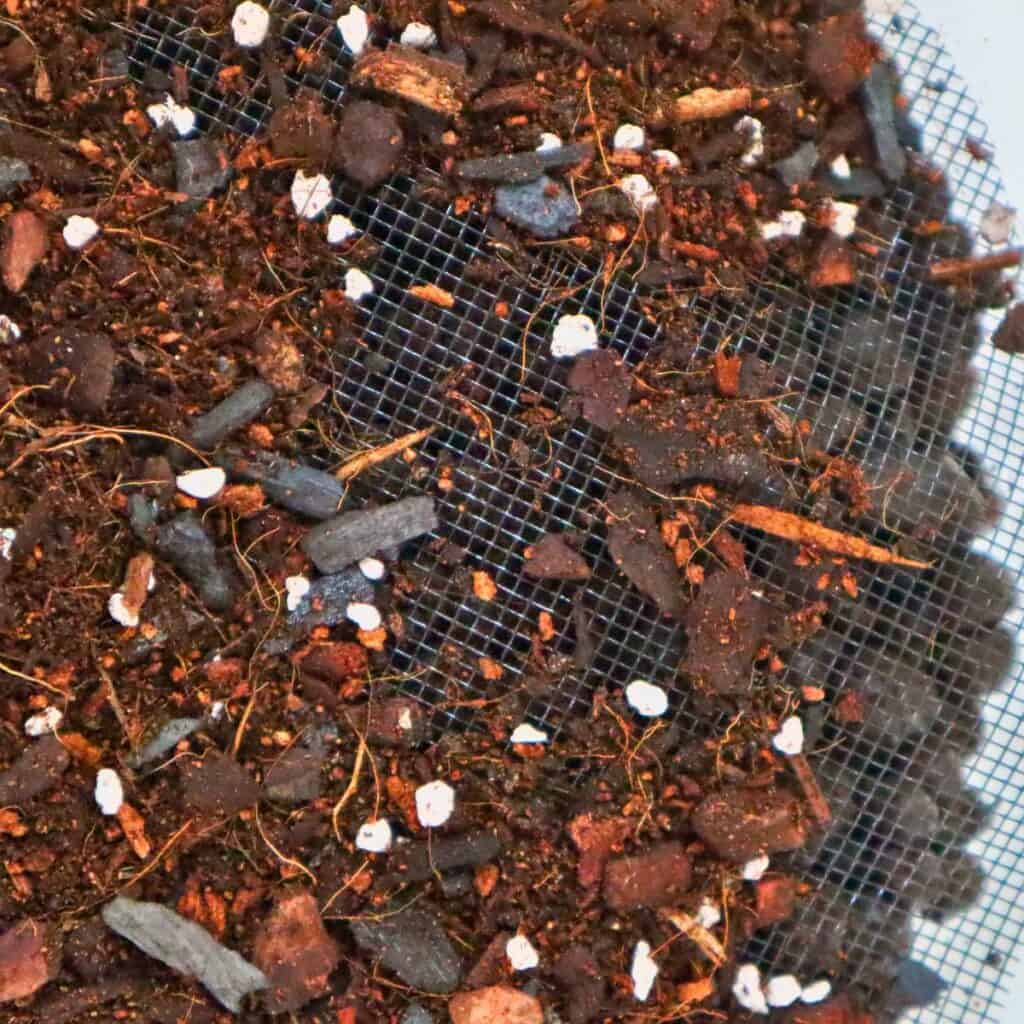 Vivariums Made Easy The Complete DIY Guide (+ Bioactive)