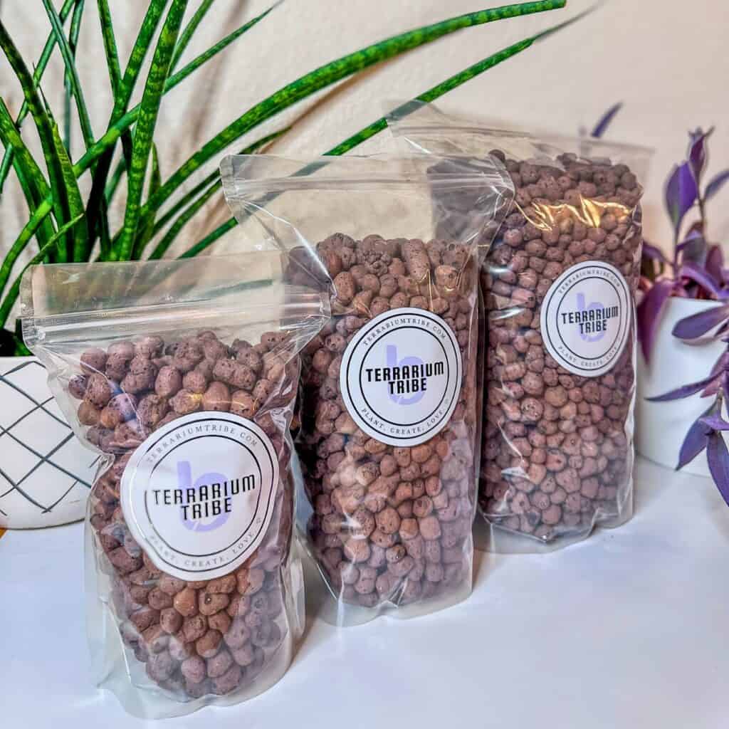 How to Use Leca in Terrariums (Drainage Layer Guide)