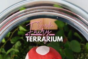 Fairy garden Terrarium