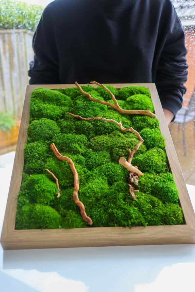 Moss Cladding How to Make a Vibrant Preserved Moss Wall (8 Simple Steps)